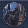 Nemesis Now Lisa Parker A Brush With Magick Cat Purse Navy 18.5cm