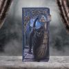 Nemesis Now Lisa Parker A Brush With Magick Cat Purse Navy 18.5cm