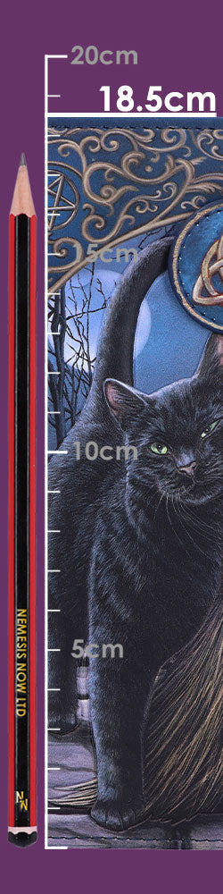 Nemesis Now Lisa Parker A Brush With Magick Cat Purse Navy 18.5cm