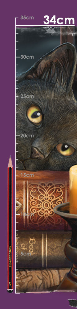 Witching Hour Cat Messenger Bag by Lisa Parker