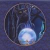 Lisa Parker The Witches Apprentice Cat Crystal Ball Purse