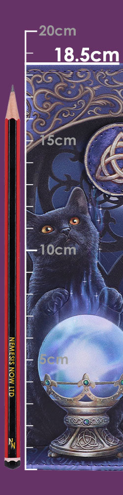 Lisa Parker The Witches Apprentice Cat Crystal Ball Purse