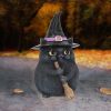 Lucky Black Cat Snapcat Ornament Filter Cute Cat Figurine