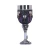 Edgar Allen Poe Nevermore Raven Goblet