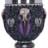 Edgar Allen Poe Nevermore Raven Goblet