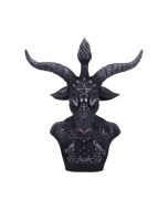 Black Rose from the Dead Skull 15cm
