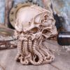 James Ryman Cthulhu Skull 20cm
