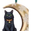 Lisa Parker Moon Cat Hanging Ornament 9cm