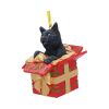 Lisa Parker Present Cat Hanging Ornament 9cm