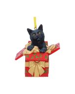 Black Lucky Cat Purse Embossed Eye Tail Wallet