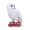 Wizard's Familiar Owl Figurine 10cm