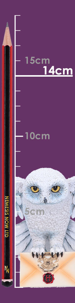 Harry Potter Hedwig Owl Wall Plaque 45cm