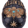Destiny Palmistry Skull 18cm