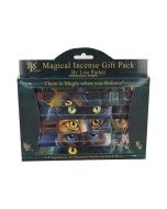 Lisa Parker Patchouli Scented Empowerment Incense Sticks