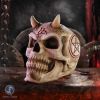 Dracula's Tale Vampire Novel Quote Skull