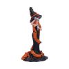 Cinnamon Sugar & Spice Witch Figurine 23.5cm