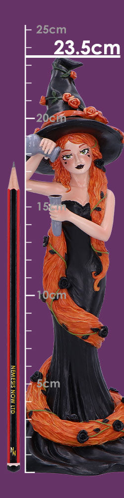 Cinnamon Sugar & Spice Witch Figurine 23.5cm