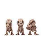 Triceratops Skull Resin Replica