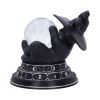 Purrah's Fortune 12.2cm