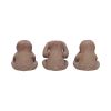 Three Wise Sloths Figurines by Nemesis Now