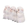 Three Wise Sheep Figurines by Nemesis Now