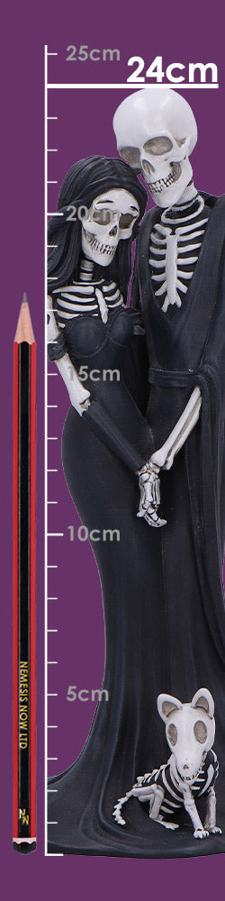 Eternal Skeleton Companion Figurine 24cm