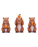 Three Wise Tortoises Figurines by Nemesis Now