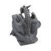 Dragons Lair Black Dragon Coaster Set
