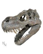 Metallic Tyrannosaurus Rex Head Trinket Dish