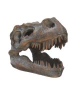 Metallic Tyrannosaurus Rex Head Trinket Dish