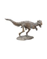 Triceratops Skull Resin Replica