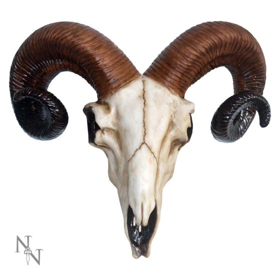 Realistic Wall Mounted Rams Skull