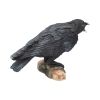 Raven's Call Figurine Gothic Bird Ornament