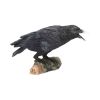 Raven's Call Figurine Gothic Bird Ornament