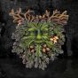 Tree Spirit Plaque Autumn's Reflection 15.5cm