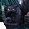 Witches Familiar Salem Candlestick Holder 20cm