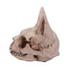 Bastet's Secret Cat Skull Figurine Ornament