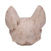 Bastet's Secret Cat Skull Figurine Ornament