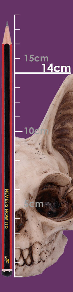 Bastet's Secret Cat Skull Figurine Ornament