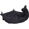 Winged Watcher Bat Trinket Holder Jewellery Dish