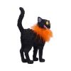 Furdinand Black Cat Feather Boa 23cm
