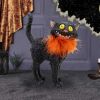 Furdinand Black Cat Feather Boa 23cm