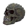 Reptillian Scale Skull 17cm
