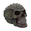 Reptillian Scale Skull 17cm
