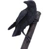 Raven on Hammer of the Gods 23cm