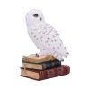 Library of Wisdom White Owl Figurine