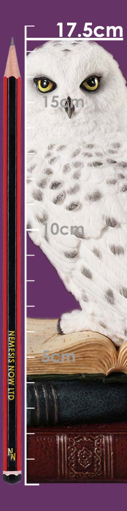 Library of Wisdom White Owl Figurine