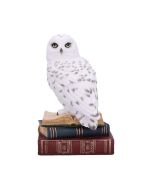 Owl Talisman Hanging Decoration