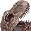 Metallic Tyrannosaurus Rex Head Trinket Dish