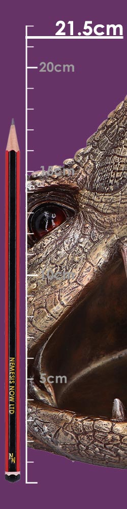 Metallic Tyrannosaurus Rex Head Trinket Dish